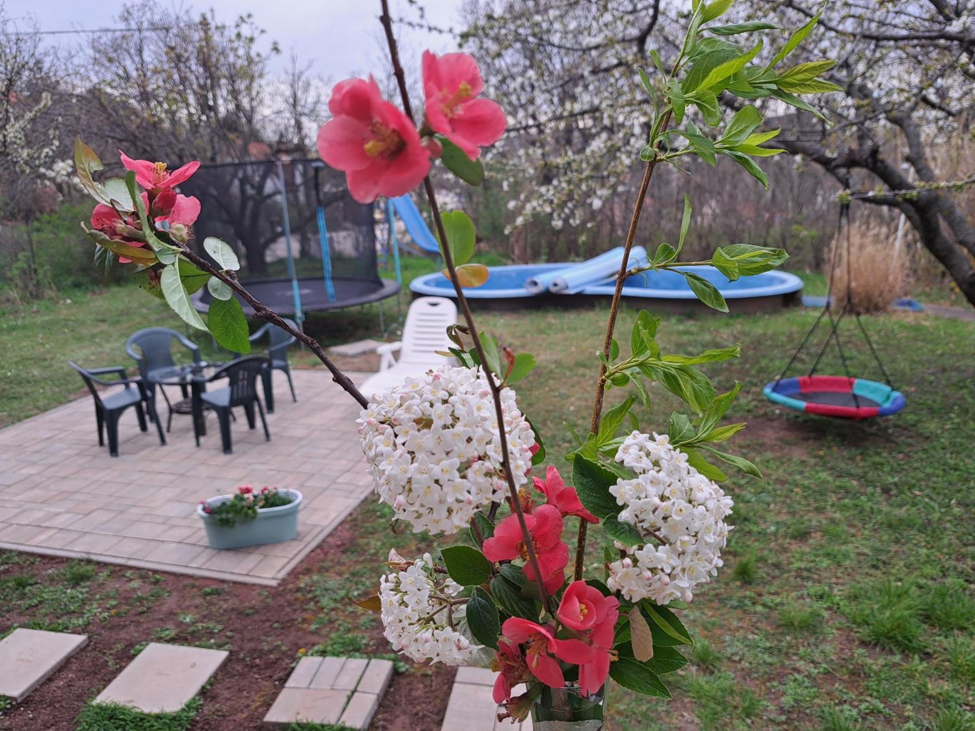 Balatonalmádi Malibu Apartment Balaton North מראה חיצוני תמונה